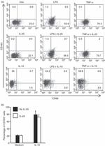 CD23 Antibody in Flow Cytometry (Flow)