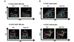 CD24 Antibody in Flow Cytometry (Flow)