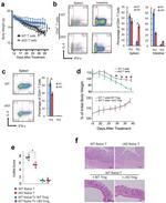 CD25 Antibody in Flow Cytometry (Flow)