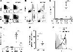 CD25 Antibody in Flow Cytometry (Flow)