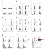 CD335 (NKp46) Antibody in Flow Cytometry (Flow)