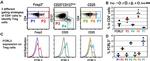 CD25 Antibody in Flow Cytometry (Flow)