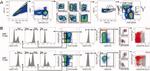 CD27 Antibody in Flow Cytometry (Flow)