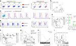 CD27 Antibody in Flow Cytometry (Flow)