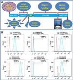 CD29 (Integrin beta 1) Antibody in Flow Cytometry (Flow)