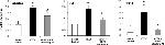 CD184 (CXCR4) Antibody in Flow Cytometry (Flow)