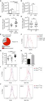 CD31 (PECAM-1) Antibody in Flow Cytometry (Flow)