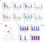 CD31 (PECAM-1) Antibody in Flow Cytometry (Flow)