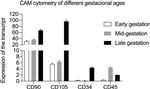 CD90 (Thy-1) Antibody in Flow Cytometry (Flow)