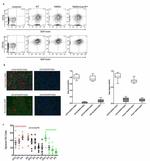 CD133 (Prominin-1) Antibody in Flow Cytometry (Flow)