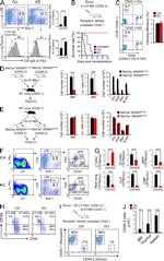 CD48 Antibody in Flow Cytometry (Flow)