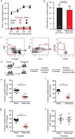 CD150 Antibody in Flow Cytometry (Flow)