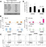 CD43 Antibody in Flow Cytometry (Flow)