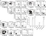 GL7 Antibody in Flow Cytometry (Flow)