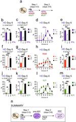 CD38 Antibody in Flow Cytometry (Flow)