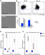 CD144 (VE-cadherin) Antibody in Flow Cytometry (Flow)