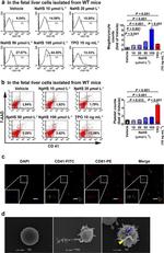 CD41a Antibody in Immunocytochemistry, Flow Cytometry (ICC/IF, Flow)