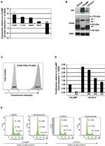 CD44 Antibody in Western Blot, Flow Cytometry (WB, Flow)