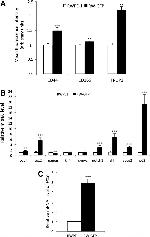 Trop2 (EGP-1) Antibody in Flow Cytometry (Flow)