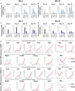 CD54 (ICAM-1) Antibody in Flow Cytometry (Flow)