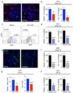 TER-119 Antibody in Flow Cytometry (Flow)