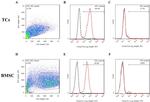 CD29 (Integrin beta 1) Antibody in Flow Cytometry (Flow)