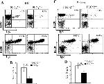 CD45R (B220) Antibody in Flow Cytometry (Flow)