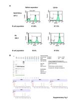 CD45R (B220) Antibody in Flow Cytometry (Flow)