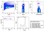 CD45.1 Antibody in Flow Cytometry (Flow)