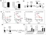 CD48 Antibody