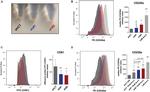 CD61 (Integrin beta 3) Antibody in Flow Cytometry (Flow)