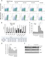 CD68 Antibody in Flow Cytometry (Flow)