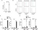 CD86 (B7-2) Antibody in Flow Cytometry (Flow)