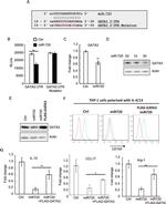 CD163 Antibody in Flow Cytometry (Flow)