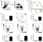 CD69 Antibody in Flow Cytometry (Flow)