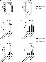 CD274 (PD-L1, B7-H1) Antibody in Flow Cytometry (Flow)