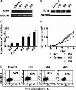 CD235a (Glycophorin A) Antibody in Flow Cytometry (Flow)