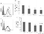 CD86 (B7-2) Antibody in Flow Cytometry (Flow)