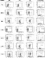 CD117 (c-Kit) Antibody in Flow Cytometry (Flow)