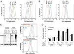 CD262 (DR5) Antibody in Flow Cytometry (Flow)