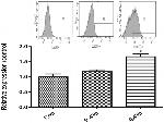 CD95 (APO-1/Fas) Antibody in Flow Cytometry (Flow)