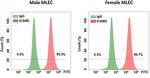 CD102 (ICAM-2) Antibody in Flow Cytometry (Flow)