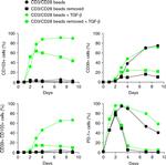 CD103 (Integrin alpha E) Antibody in Flow Cytometry (Flow)