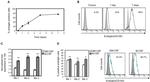 CD105 (Endoglin) Antibody in Flow Cytometry (Flow)