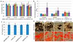 CD105 (Endoglin) Antibody in Flow Cytometry (Flow)