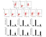 CD106 (VCAM-1) Antibody in Flow Cytometry (Flow)