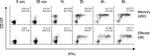 IFN gamma Antibody in Flow Cytometry (Flow)