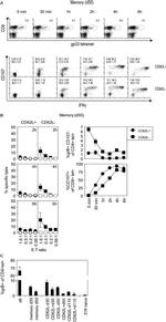 CD107a (LAMP-1) Antibody in Flow Cytometry (Flow)