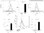 CD107a (LAMP-1) Antibody in Flow Cytometry (Flow)