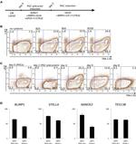 CD117 (c-Kit) Antibody in Flow Cytometry (Flow)